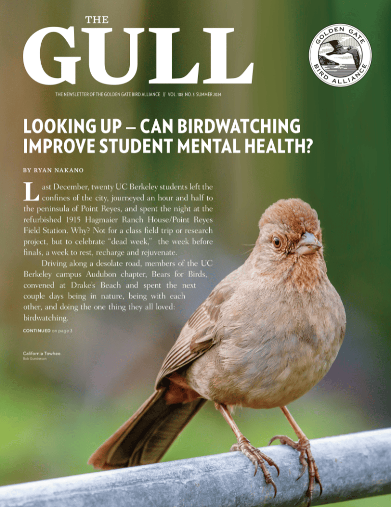 Spring 2024 Gull is now online